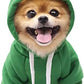 Fleece Fruit Hoodies Pet Dogs Costume