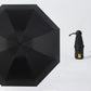 Light and Small Mini Umbrella with Cute Case