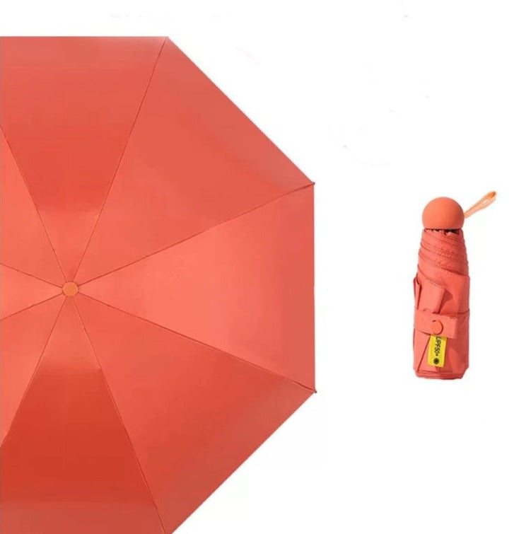 Light and Small Mini Umbrella with Cute Case