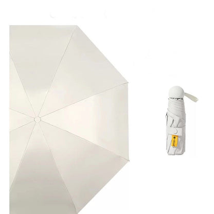 Light and Small Mini Umbrella with Cute Case